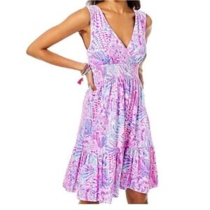 Lilly‎ Pulitzer XS Pink Blue Sleeveless Smocked Ruffle Hem Dress